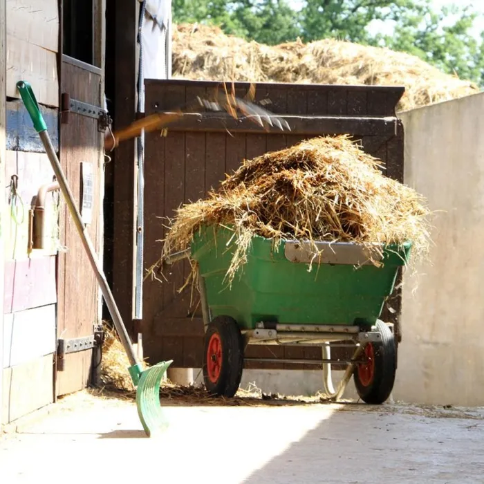 Brouette basculante 330 litres LA BUVETTE – Image 3